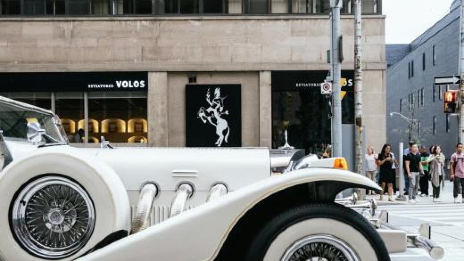 Driver Rental Service