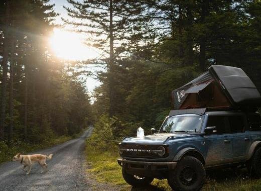 The Ultimate Guide to Buying a Used Car