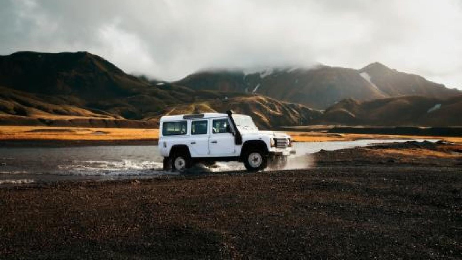 Vehicle Inspection Service